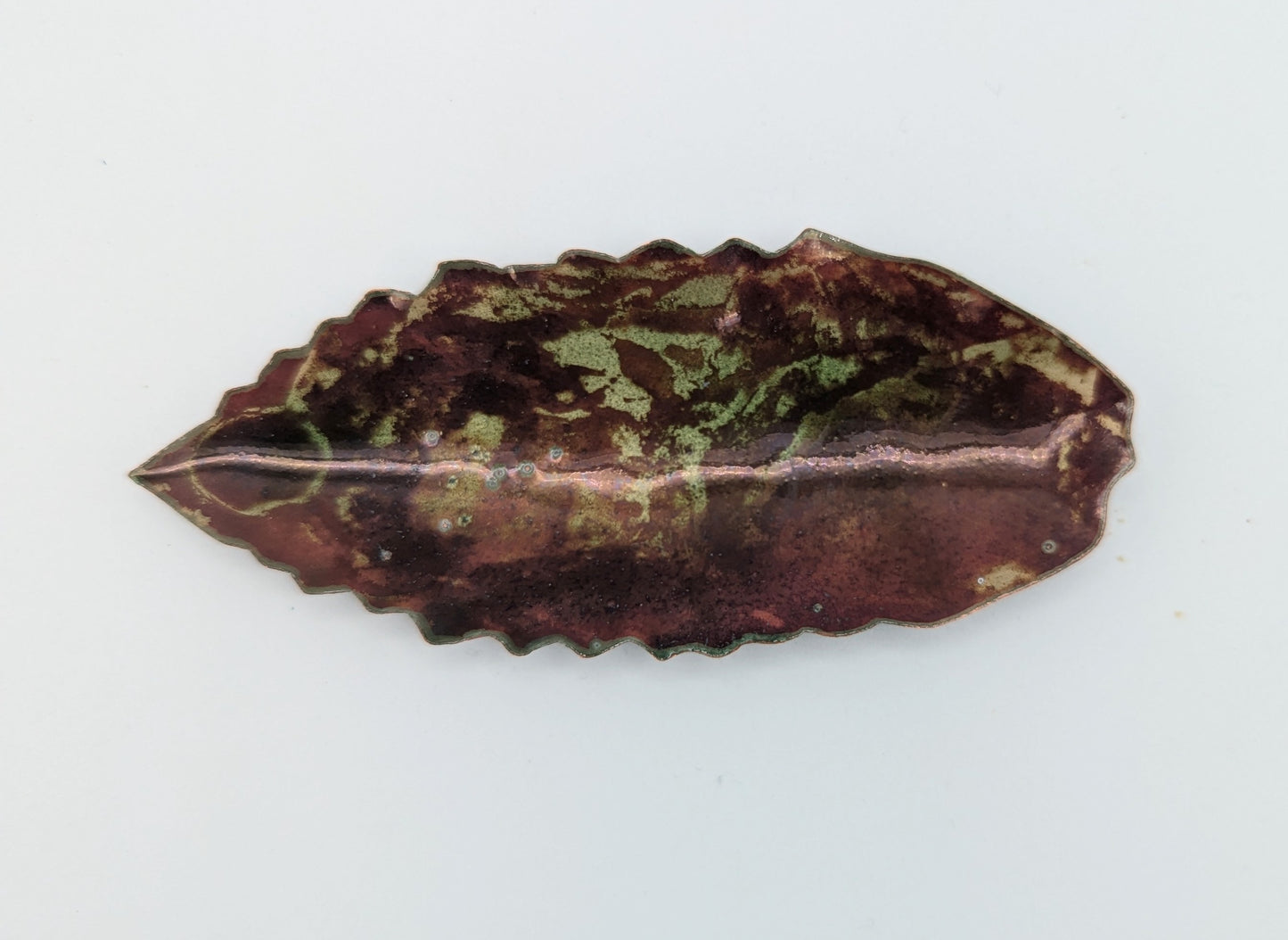 Coupelle feuille terre & Mousse