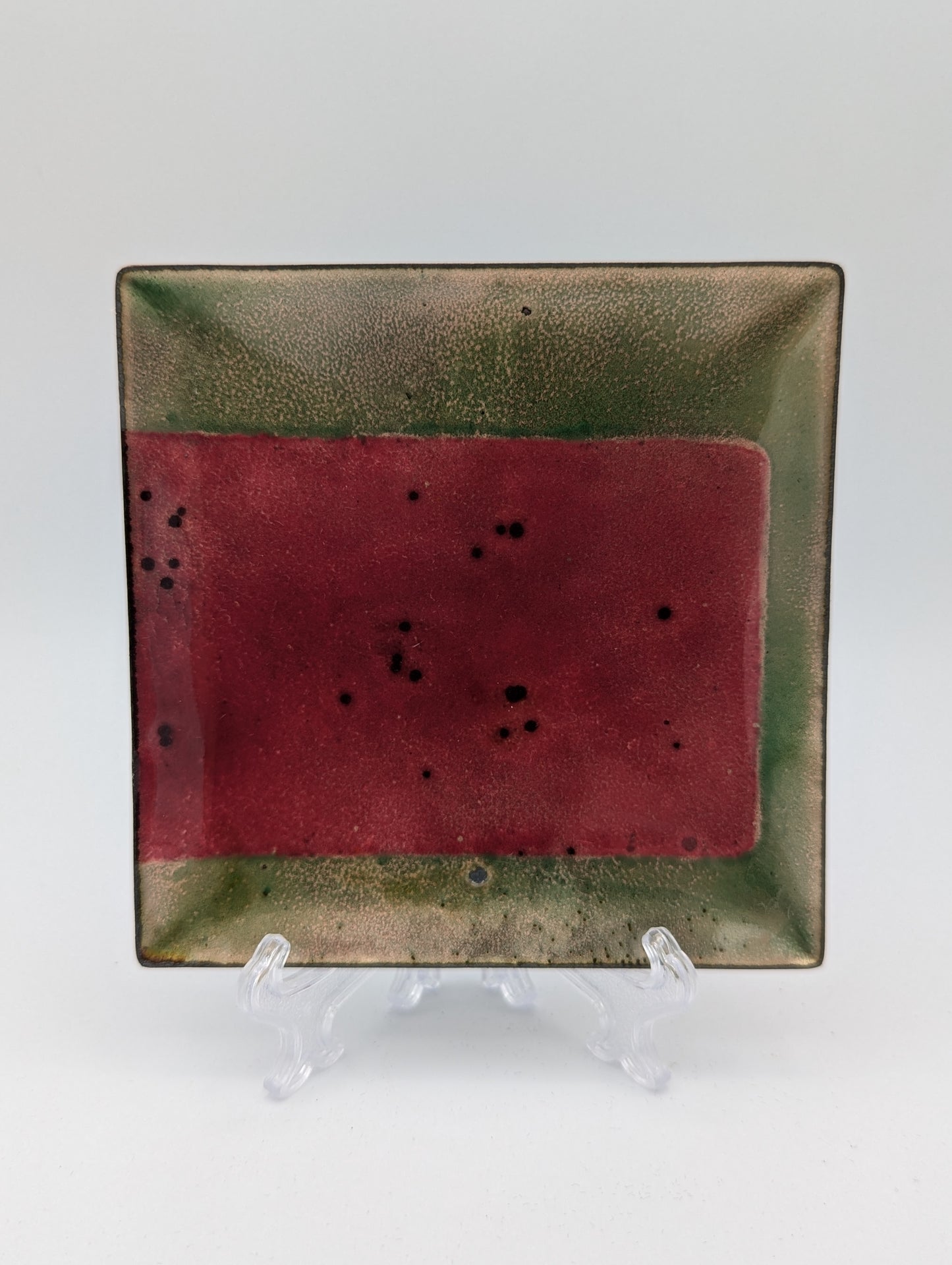 Vide poche Terre & Mousse