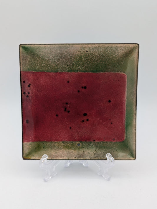 Vide poche Terre & Mousse